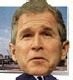 Slap The Candidate